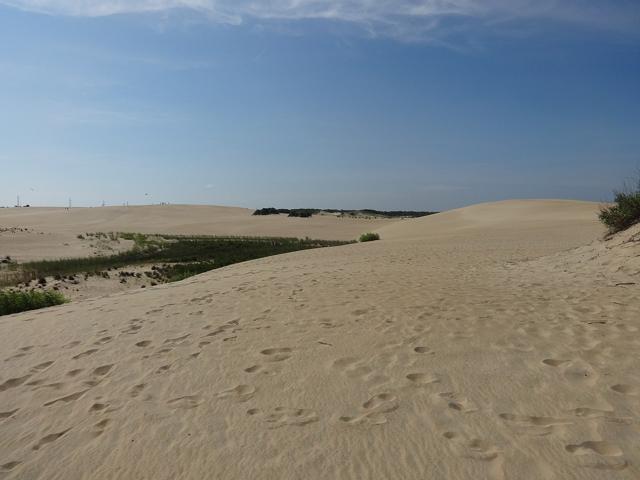 Jockey's Ridge State Park